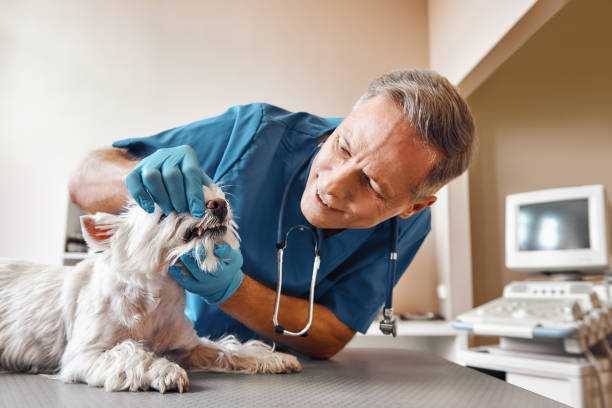 Best Same-Day Emergency Appointments in Lake Marcel Stillter, WA